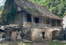 Bârnă cu bârnă, spre o nouă viață. O casă tradițională din Gârliște a fost adusă la Muzeul Satului Bănățean.