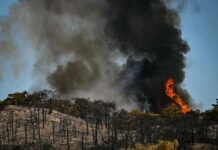 Incendiile din Spania și Franța, de două ori mai probabile din cauza schimbărilor climatice. Studiu: În Spania, riscul a crescut de 20 de ori.