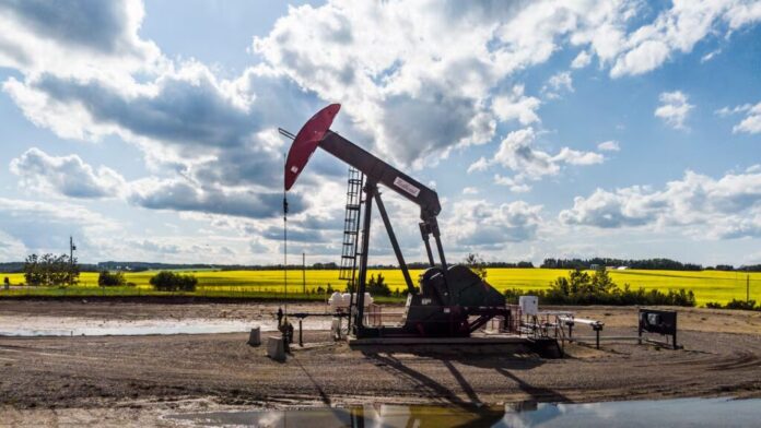Piața petrolului, aproape fără „plasă de siguranță”. Traderii trag un semnal de alarmă privind o nouă criză după închiderea Strâmtorii Ormuz.