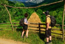 Studii MedLife: Românii nu sunt conștienți că mersul pe jos aduce beneficii și pentru minte, nu doar pentru corp. Doar 12% dintre ei merg frecvent în drumeții, în timp ce cei care o fac resimt mai multă energie și o calitate superioară a vieții.