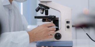 Studii de master: Metode și tehnici statistice în domeniul sănătății și cercetării clinice, în Timișoara.