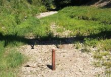 Canicula intensifică seceta în Banat. Debitele râurilor continuă să scadă.