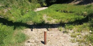 Canicula intensifică seceta în Banat. Debitele râurilor continuă să scadă.