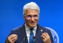 „Consecințele vor fi devastatoare”. Pîslaru atrage atenția asupra efectelor amendamentelor adoptate în Senat.