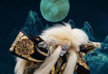 Festivalul japonez Natsu Matsuri se întoarce la Timișoara cu spectacole Kabuki, dans Bon Odori și ateliere culturale.