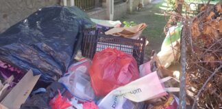 Gunoaiele revin la câteva ore după ce sunt strânse din Parcul Zürich. O femeie fără adăpost respinge ajutorul autorităților.