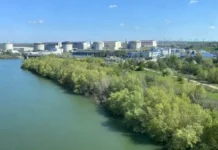 Lucrările desfășurate în prezent pe Dunăre, care preced deblocarea Proiectului Bala, au fost de fapt propuse cu exact 23 de ani în urmă, după prima oprire totală a Centralei de la Cernavodă.