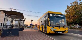 Nici nu au fost introduse bine că deja vor circula deviat. Rute noi pentru autobuzele STPT din Giroc
