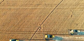 Războiul de la Marea Neagră pune din nou în pericol prețul pâinii. Grâul a crescut cu aproape 6% într-o lună, iar vasele sunt direcționate către Constanța.