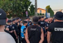 Reguli noi pentru meciurile din Timiș: Ce se schimbă pe stadioane după modificările aduse Legii competițiilor sportive