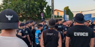 Reguli noi pentru meciurile din Timiș: Ce se schimbă pe stadioane după modificările aduse Legii competițiilor sportive