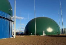 Resturile din piețele Timișoarei transformate în energie verde: Primăria inițiază un proiect pilot.