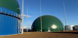 Resturile din piețele Timișoarei transformate în energie verde: Primăria inițiază un proiect pilot.