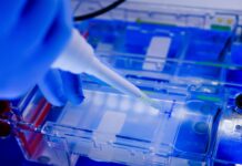 Se conturează o revoluție: Cercetătorii experimentează o baterie ce se încarcă în 3 minute și rezistă la 60.000 de încărcări.