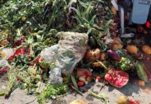 Trei tone de biodeșeuri, colectate într-o singură zi din piețele din Timișoara. Acestea s-au transformat în biogaz, energie verde și fertilizator.