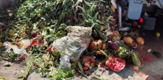 Trei tone de biodeșeuri, colectate într-o singură zi din piețele din Timișoara. Acestea s-au transformat în biogaz, energie verde și fertilizator.