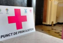 Voluntariatul nu face pauză pentru elevii Școlii Postliceale „Henri Coandă” Timișoara
