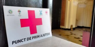 Voluntariatul nu face pauză pentru elevii Școlii Postliceale „Henri Coandă” Timișoara