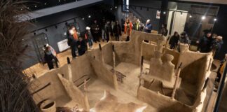 Festival la Sanctuarul Neolitic din Parța. Dans, muzică electronică și roboți galactici, sub razele soarelui.