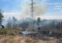 FOTO. Un foc în butoi s-a transformat într-un incendiu. Amendă de 30.000 de lei în Giarmata Vii
