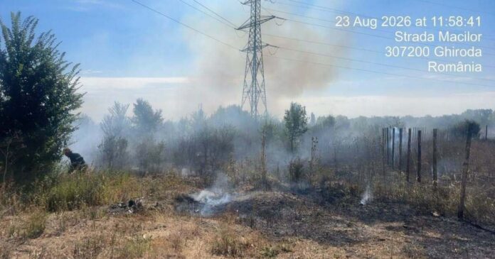 FOTO. Un foc în butoi s-a transformat într-un incendiu. Amendă de 30.000 de lei în Giarmata Vii