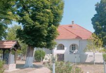 Noaptea Muzeelor la Charlottenburg: tururi ghidate, dansuri tradiționale, tir cu arcul și trofee impresionante