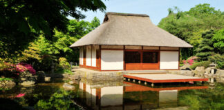 Vară japoneză la Timișoara: Un maestru Kabuki va fi invitatul special al festivalului Natsu Matsuri.