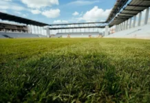 Arena „Eroii Timișoarei” se apropie de inaugurare și are deja gazon Arena „Eroii Timișoarei” se apropie de inaugurare și are deja gazon