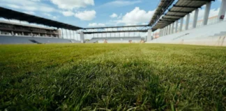 Arena „Eroii Timișoarei” se apropie de inaugurare și are deja gazon Arena „Eroii Timișoarei” se apropie de inaugurare și are deja gazon