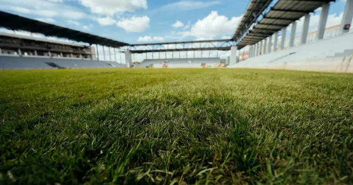 Arena „Eroii Timișoarei” se apropie de inaugurare și are deja gazon