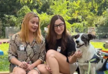 Centrele sociale din Timișoara se deschid pentru comunitate. Activități de toamnă Centrele sociale din Timișoara se deschid pentru comunitate. Activități de toamnă