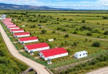 Grupul Carmistin preia operarea și controlul activelor avicole ale Grupului Aaylex One Grupul Carmistin preia operarea și controlul activelor avicole ale Grupului Aaylex One