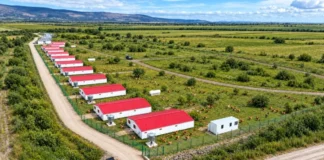 Grupul Carmistin preia operarea și controlul activelor avicole ale Grupului Aaylex One Grupul Carmistin preia operarea și controlul activelor avicole ale Grupului Aaylex One