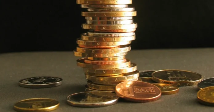 Parlamentul a adoptat legea conturilor de economii și investiții pentru pensie