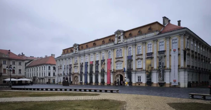 Spații din Palatul Baroc, licitate la chirii de trei ori peste evaluare