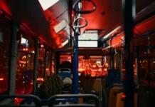 Timiș: Transportul județean se extinde în alte două localități Timiș: Transportul județean se extinde în alte două localități
