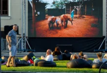 Timișoara: sport și cultură în centru, sâmbătă Timișoara: sport și cultură în centru, sâmbătă