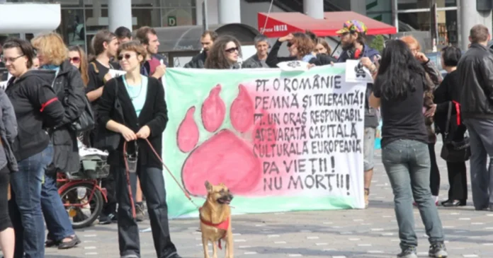Acțiune de protest în Timișoara dedicată Zilei Mondiale a Animalelor Acțiune de protest în Timișoara dedicată Zilei Mondiale a Animalelor