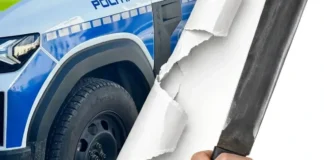 Atac cu macetă la un colegiu din Pitești. Reacția șefului Inspectoratului Școlar Argeș Atac cu macetă la un colegiu din Pitești. Reacția șefului Inspectoratului Școlar Argeș