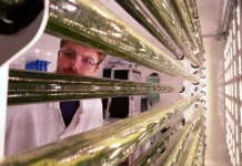 Aurul de laborator: o companie americană transformă mercurul în aur stabil Aurul de laborator: o companie americană transformă mercurul în aur stabil
