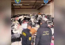 Captură record la Giurgiu: haine contrafăcute de peste 18,7 milioane de lei confiscate Captură record la Giurgiu: haine contrafăcute de peste 18,7 milioane de lei confiscate