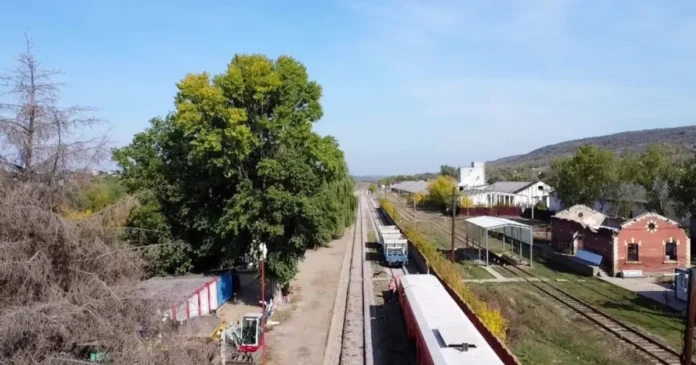 Circulația feroviară între Galați și Târgu Bujor, redeschisă