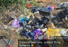 Drumurile județene din Timiș, pline de gunoaie abandonate. Ce soluții există? Drumurile județene din Timiș, pline de gunoaie abandonate. Ce soluții există?