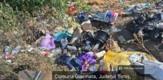 Drumurile județene din Timiș, pline de gunoaie abandonate. Ce soluții există? Drumurile județene din Timiș, pline de gunoaie abandonate. Ce soluții există?