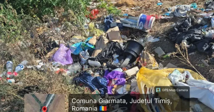 Drumurile județene din Timiș, pline de gunoaie abandonate. Ce soluții există? Drumurile județene din Timiș, pline de gunoaie abandonate. Ce soluții există?
