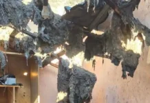 Familia din Nițchidorf rămasă fără locuință după incendiu are nevoie de ajutor Familia din Nițchidorf rămasă fără locuință după incendiu are nevoie de ajutor