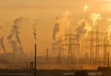 FMI: economia globală, aproape de limită FMI: economia globală, aproape de limită