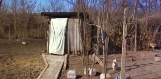 Guvernul alocă aproape 8 milioane de lei pentru eliminarea școlilor cu toalete în curte Guvernul alocă aproape 8 milioane de lei pentru eliminarea școlilor cu toalete în curte