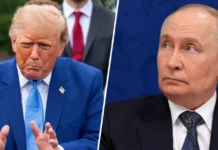 Optimism pe burse după anunțul lui Trump privind acordul cu Putin pe motorină Optimism pe burse după anunțul lui Trump privind acordul cu Putin pe motorină
