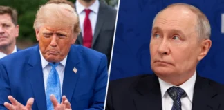 Optimism pe burse după anunțul lui Trump privind acordul cu Putin pe motorină Optimism pe burse după anunțul lui Trump privind acordul cu Putin pe motorină